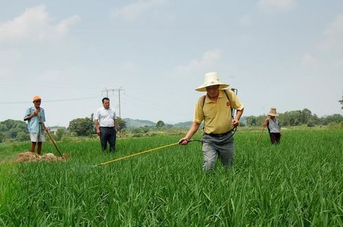 试管助孕图片1